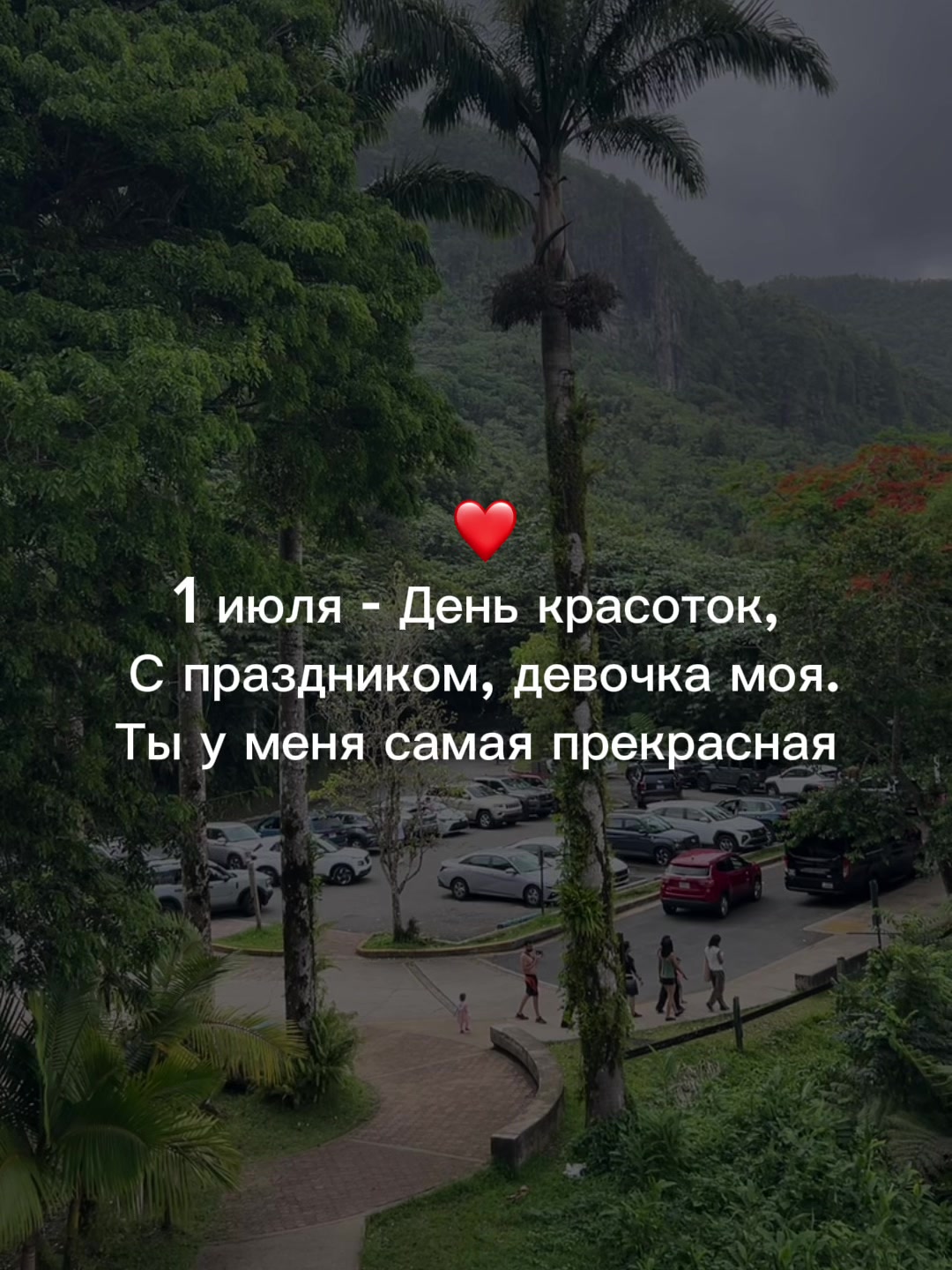 @muzdogz