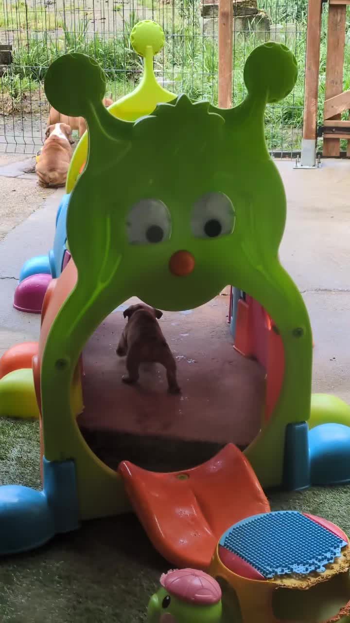 @Du Domaine de Lilounaka
