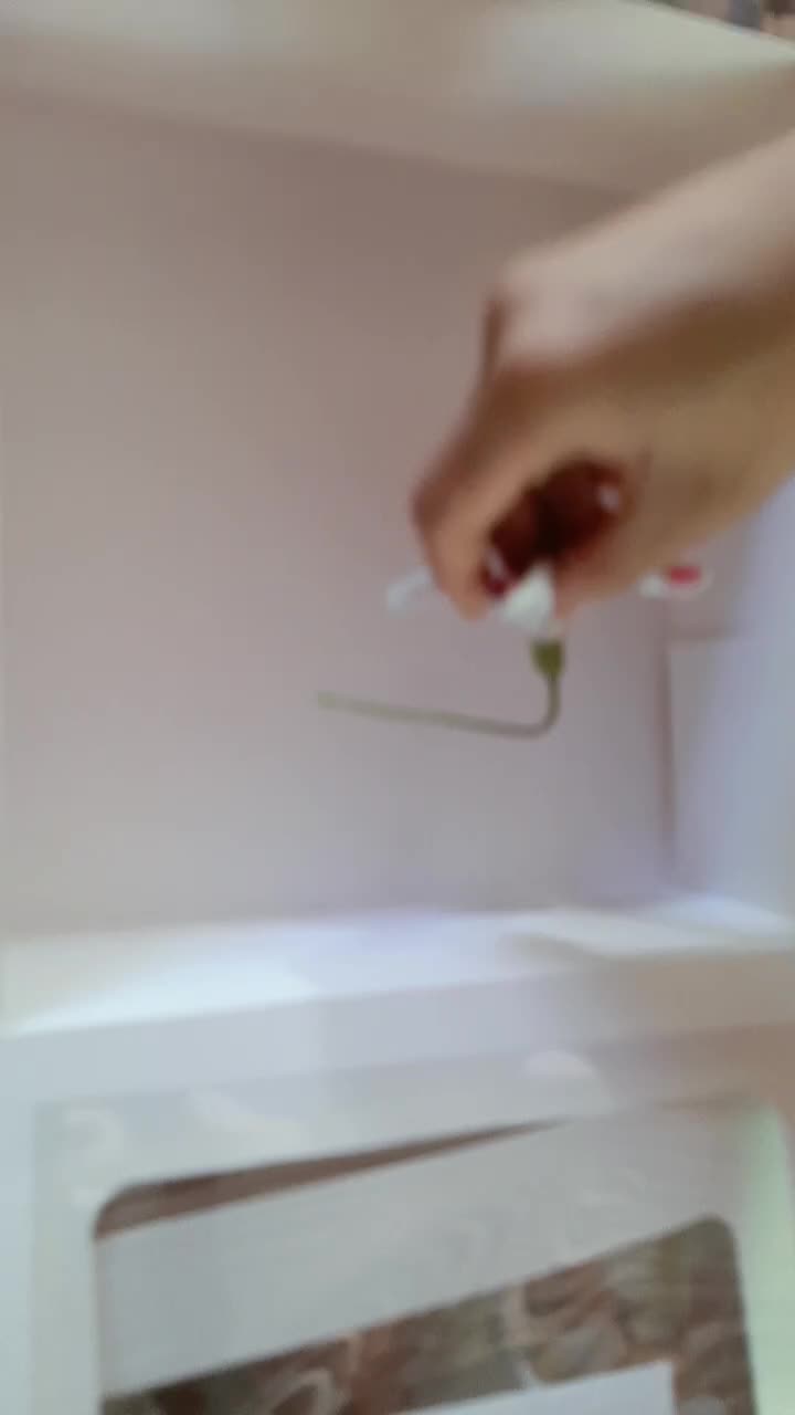 @Marie's Creation