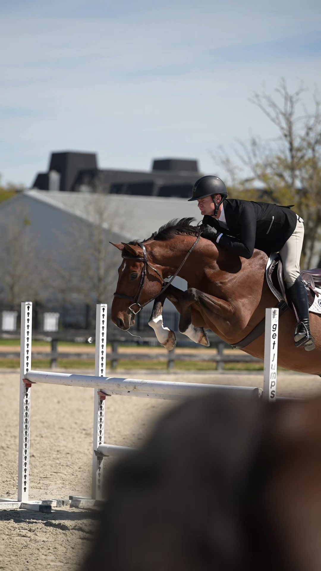 @Free Ride Equestrian