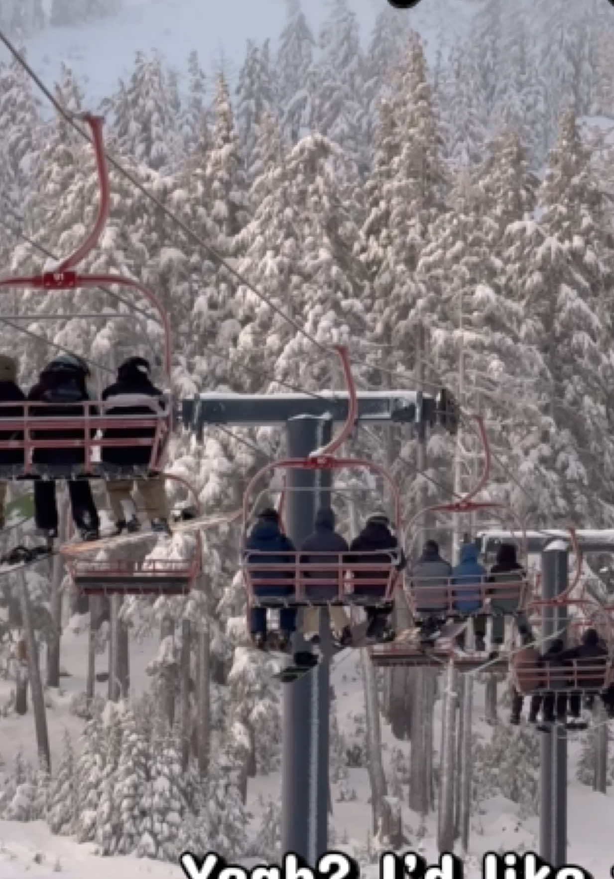 @mt.bachelor