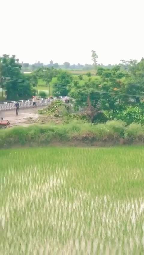 @Tajroop21