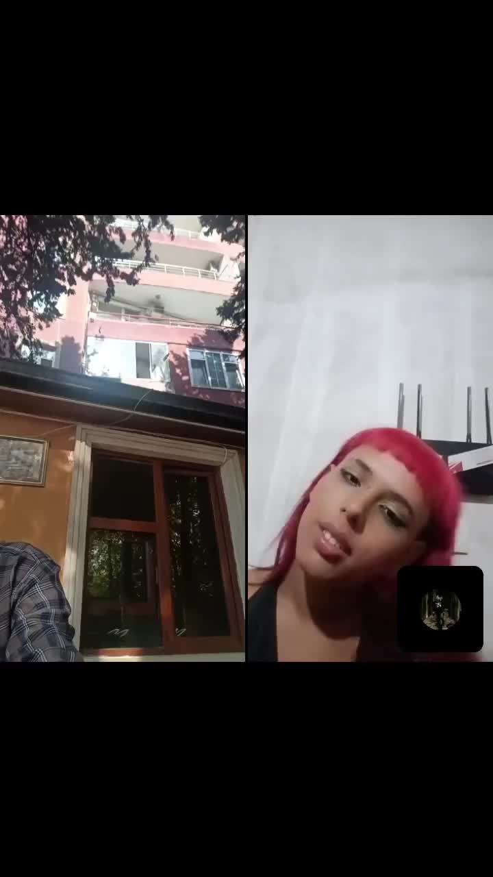 @ncmddinismaylov