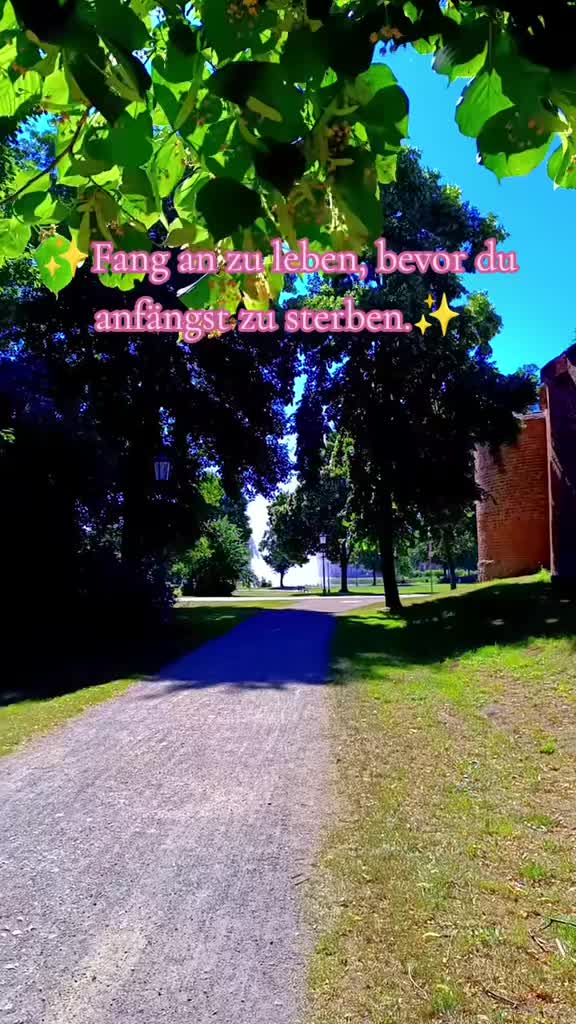 @Rainbowshit13🌺