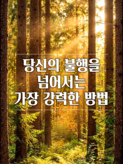 @빛의 씨앗