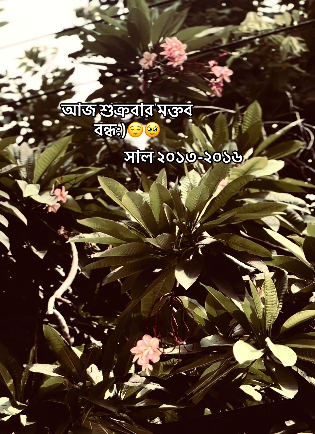 @Ꭲʜᴇ ✓ Ꮇᴀꜱᴛᴇʀ 