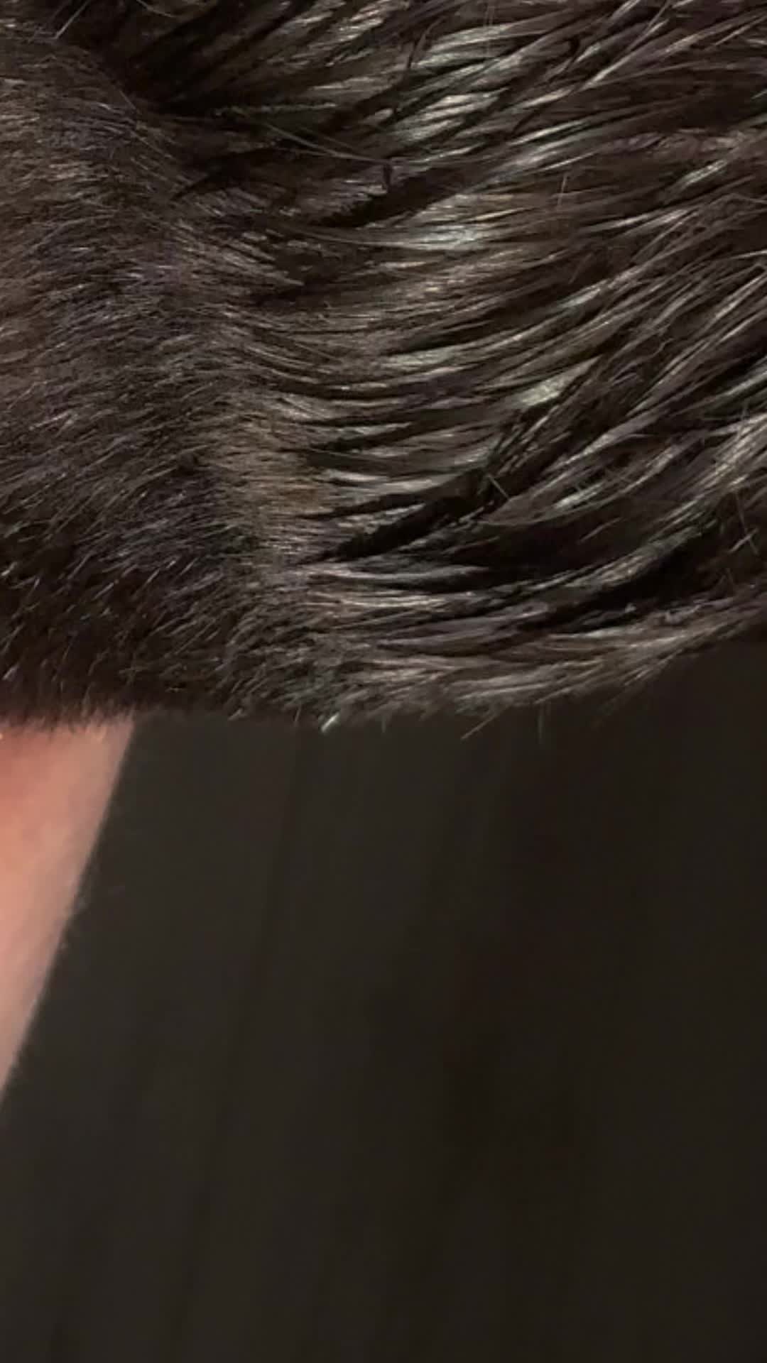 @📽️ ig: yariczek
