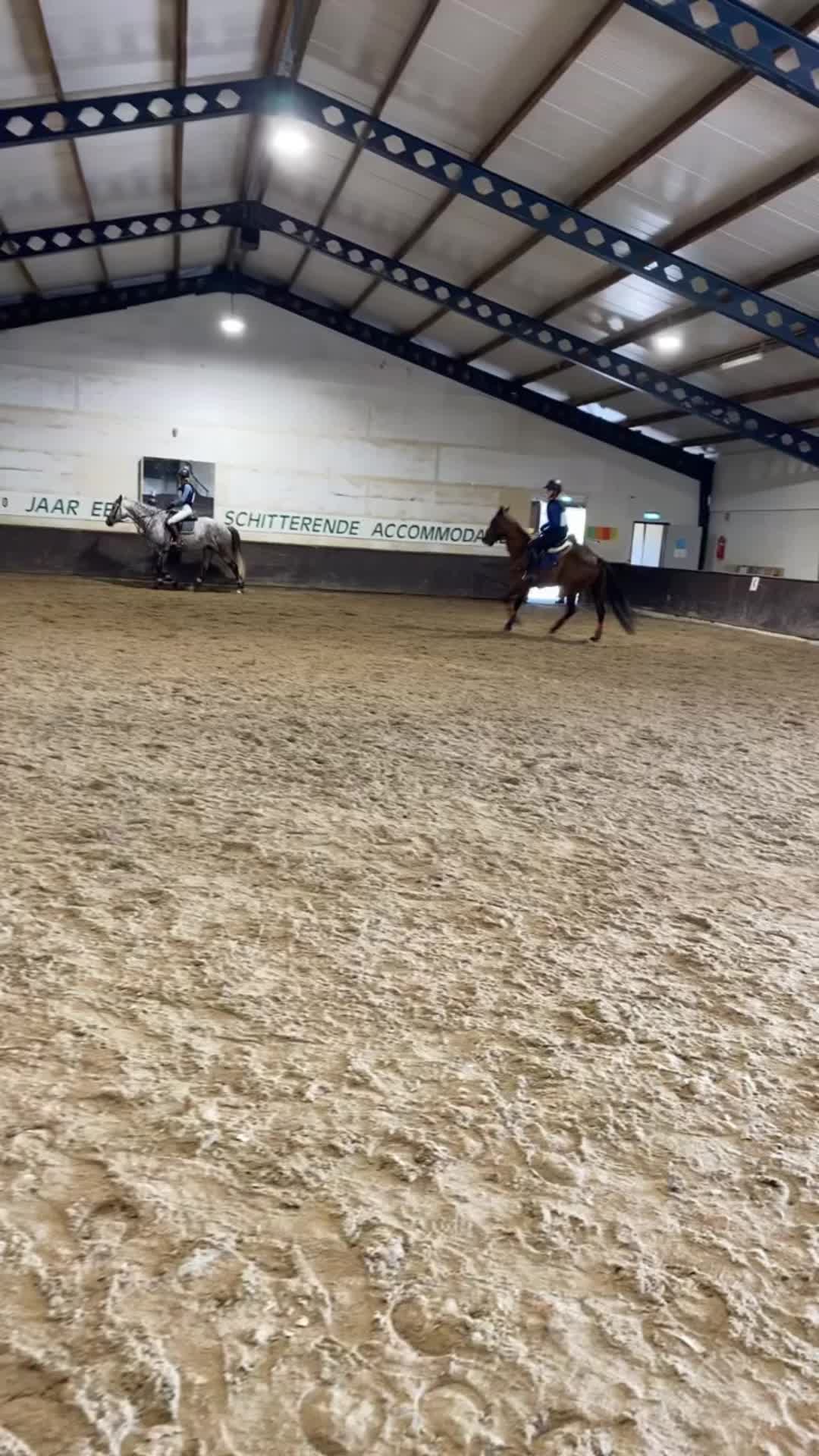 @Jumping Ponies 🔛🔝