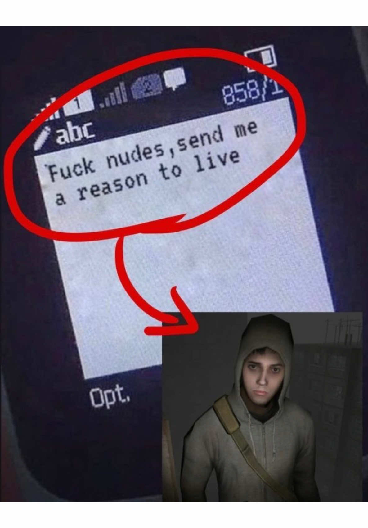 @₍^. .^₎⟆