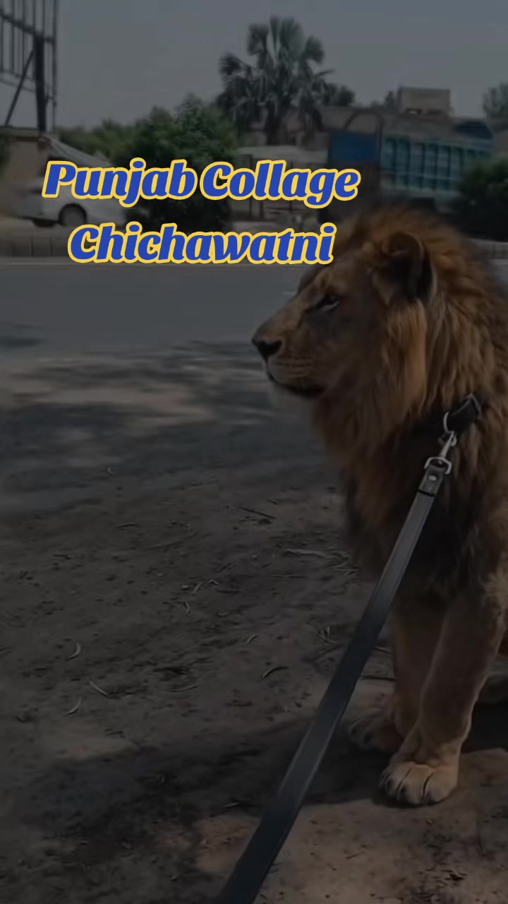@𝐂hichawatni-Edits🙃
