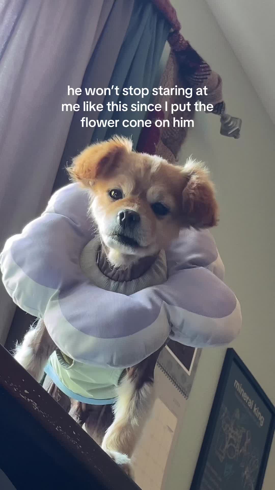 @kingpep