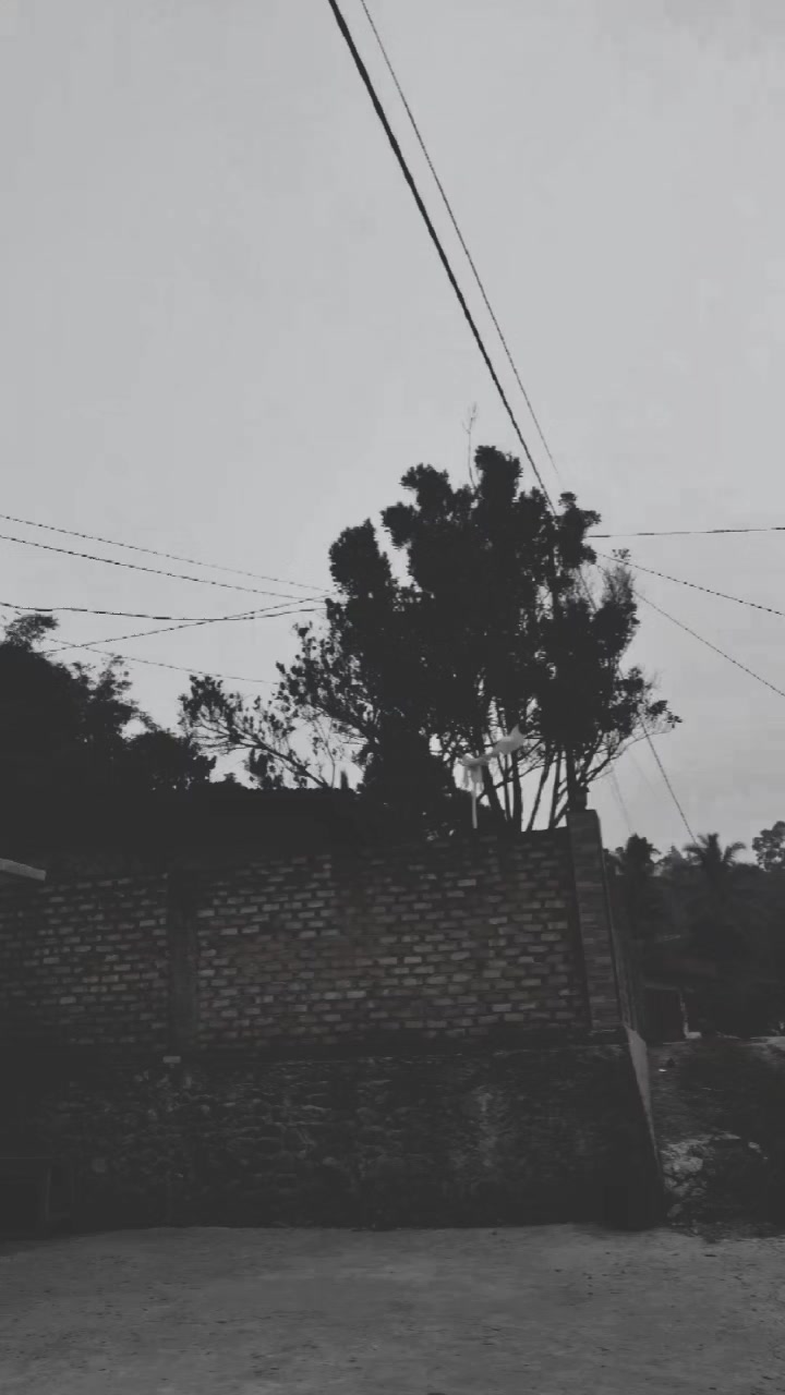 @Miiiandami