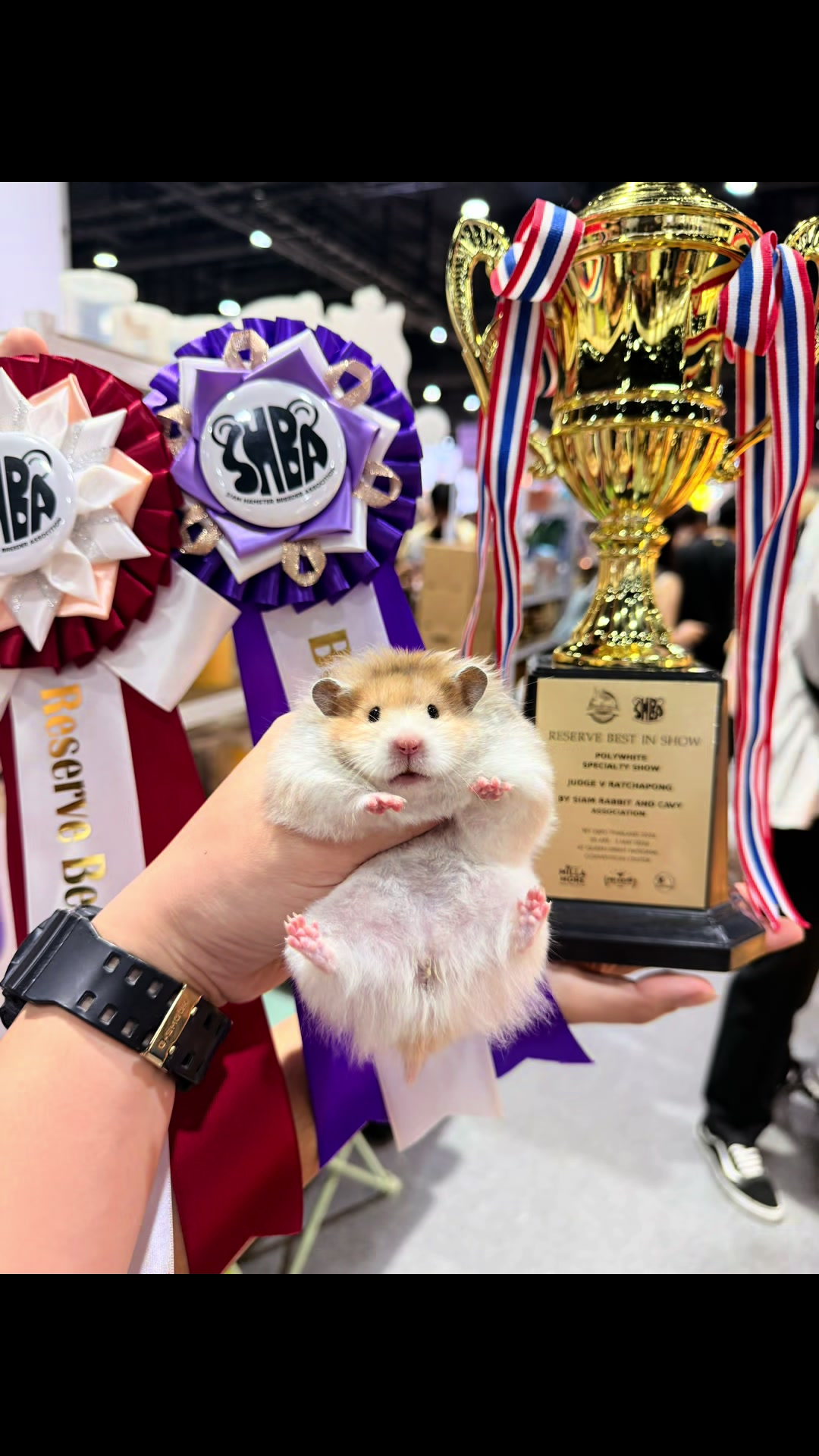 @Itsara Hamster