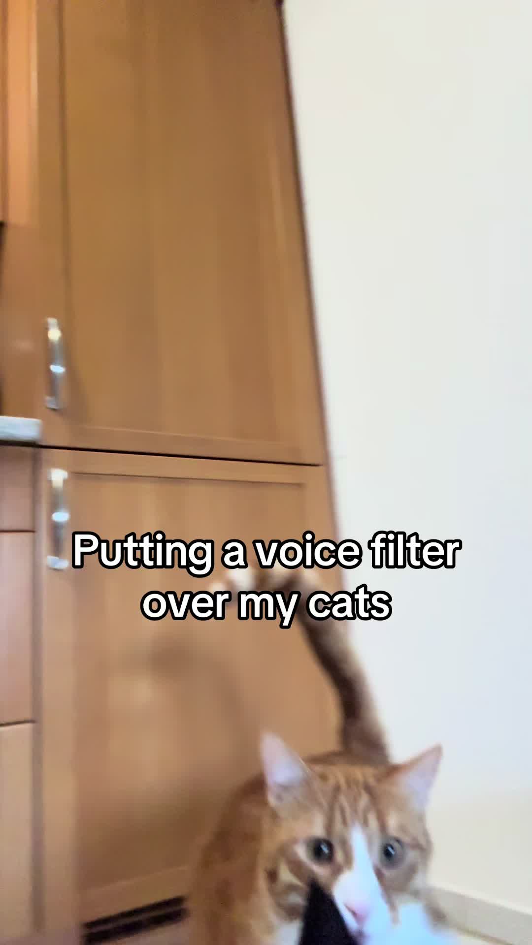 @belinda