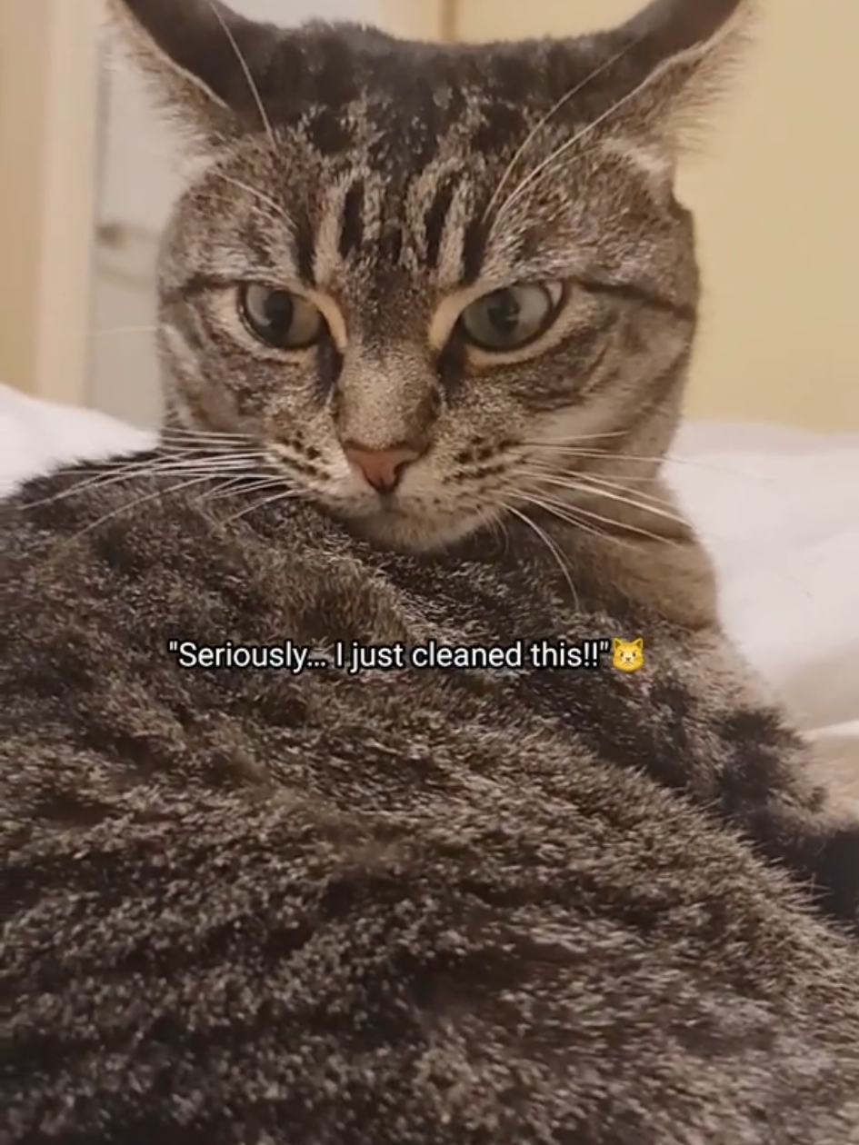 @PhoebeinWonder