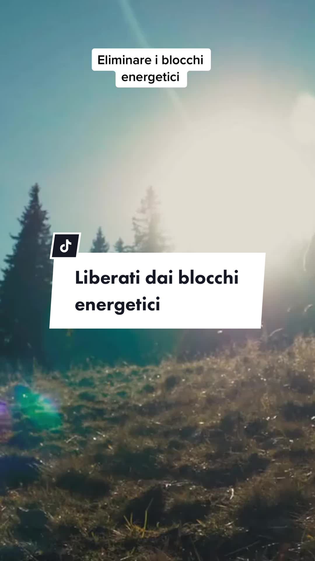 @DanieleScivoli