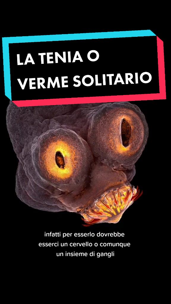 @bag of parasites