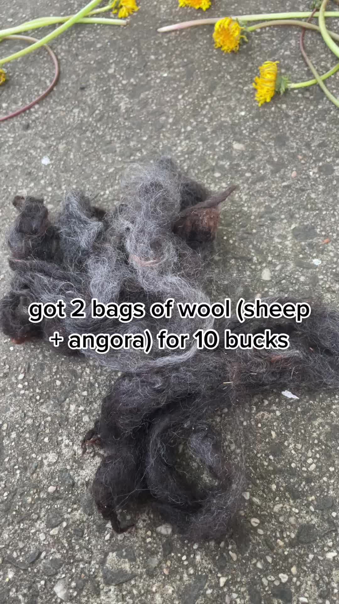 @robin