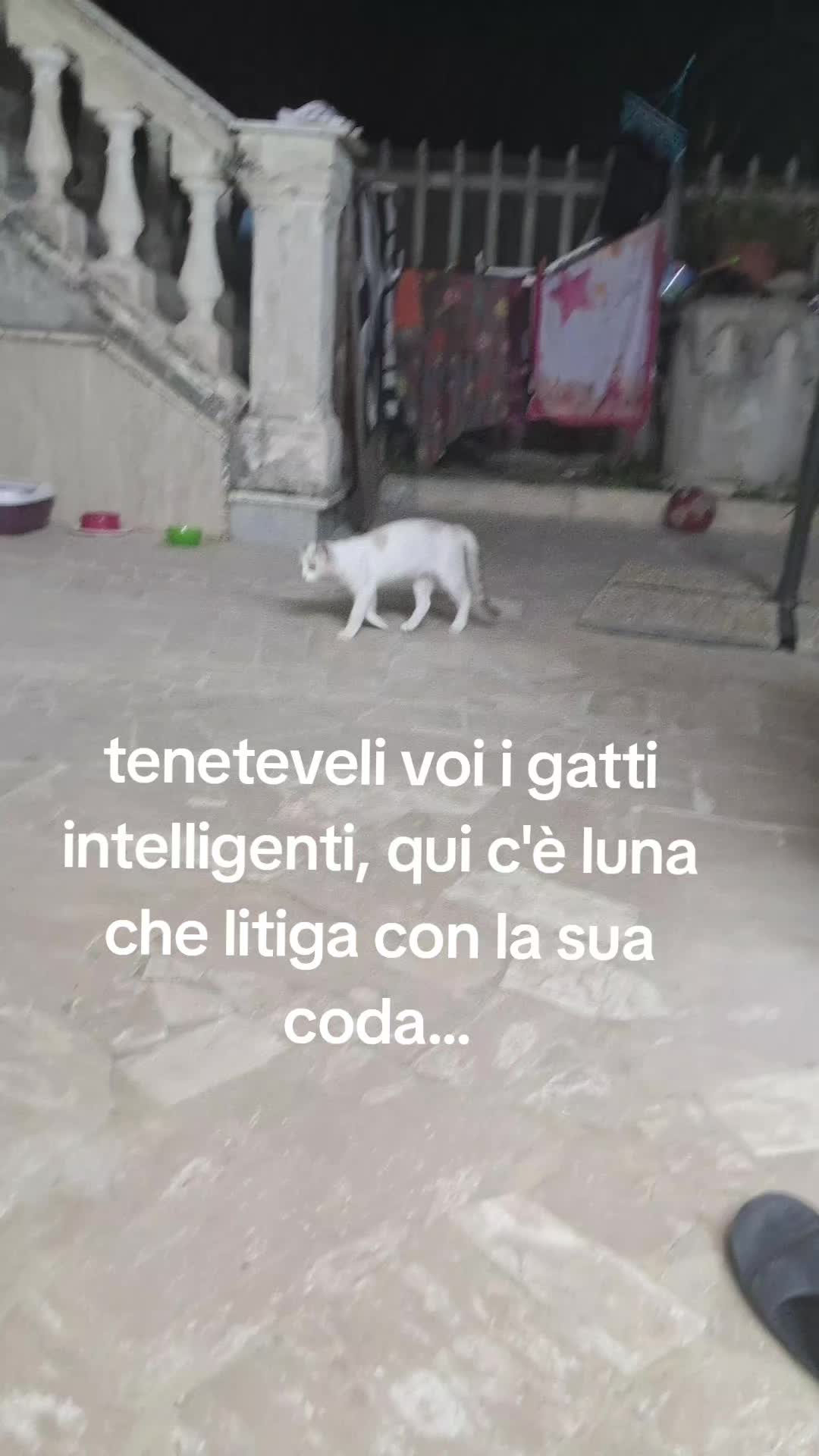 @salvatore..