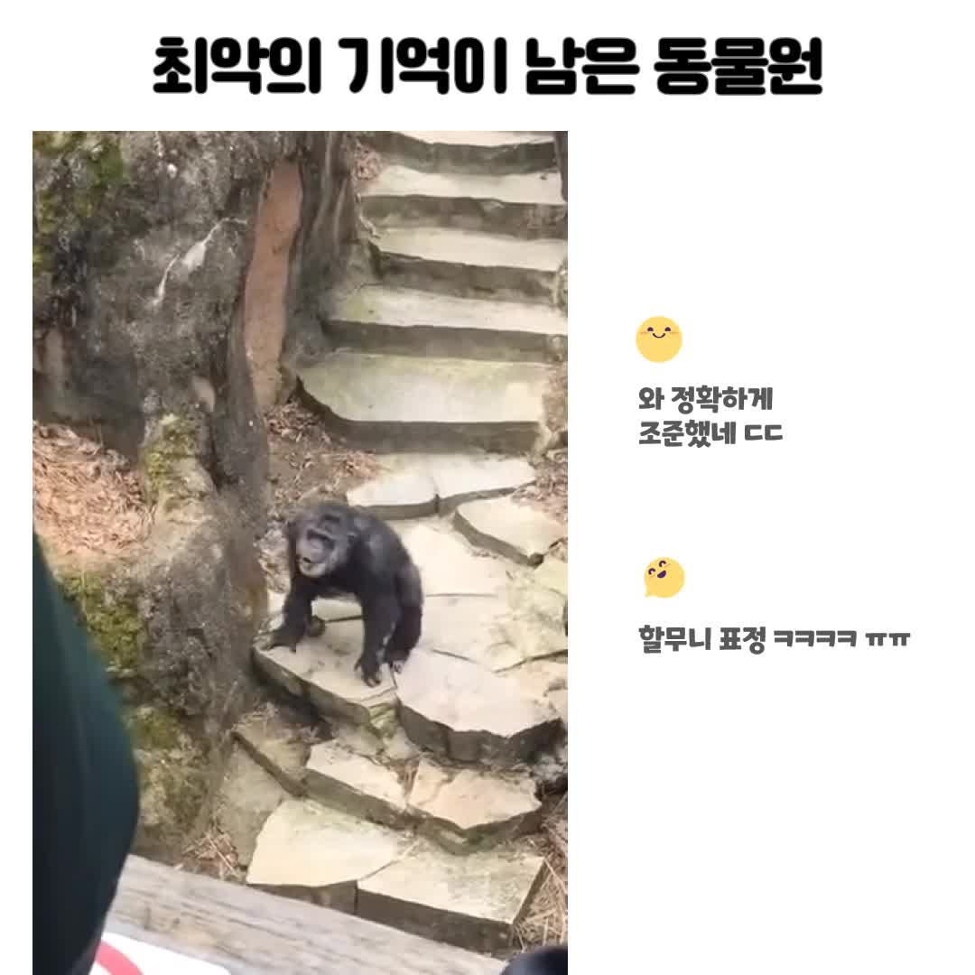 @오구망구
