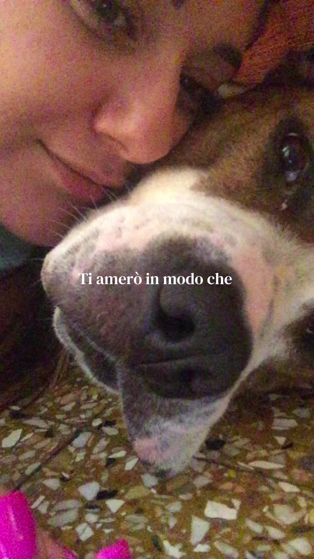 @Giorgia March&igrave;