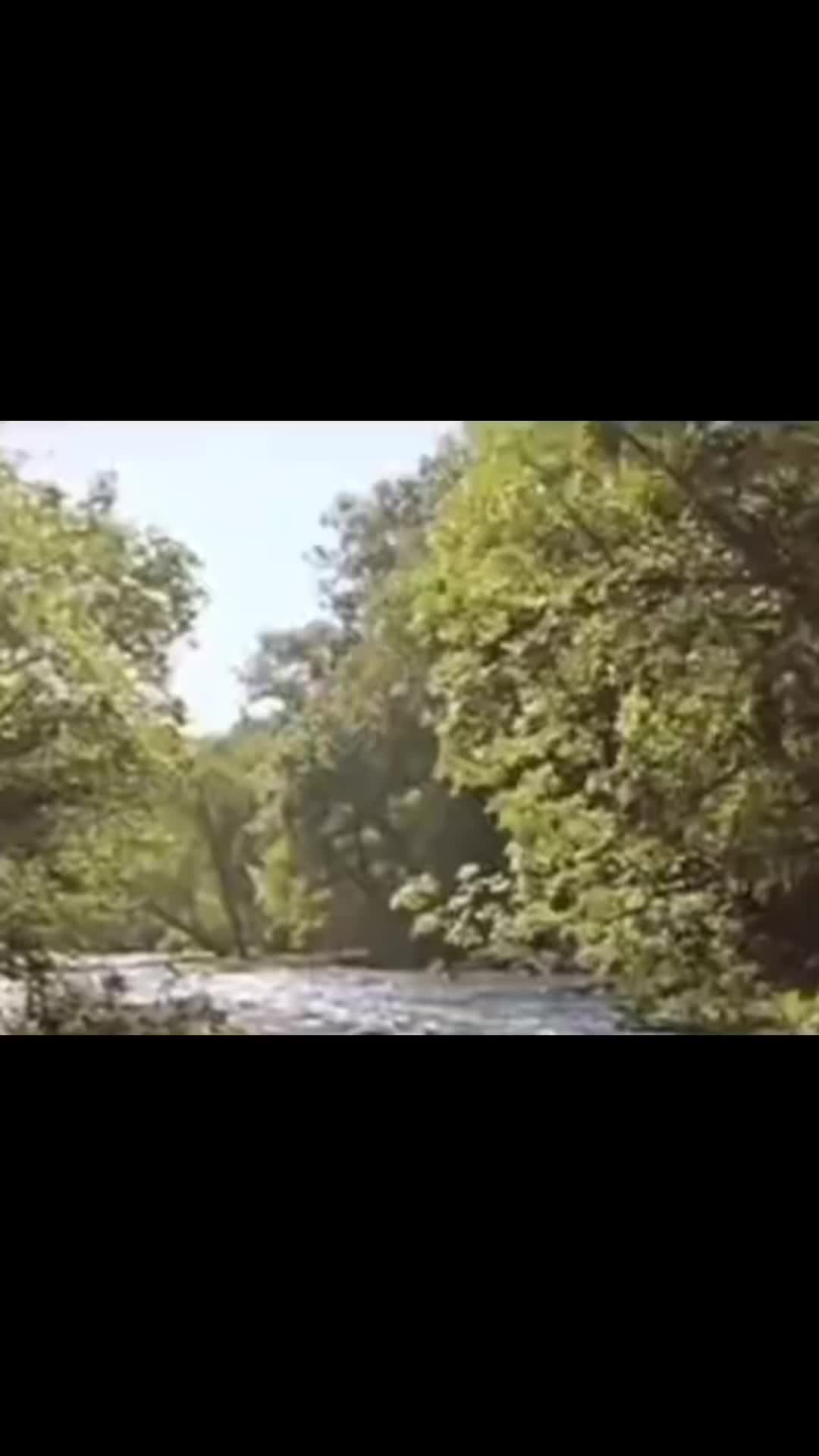@крести♣️