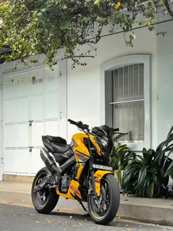 @arixxtrex