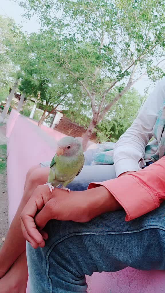 @😎Mr.sid thakur😎