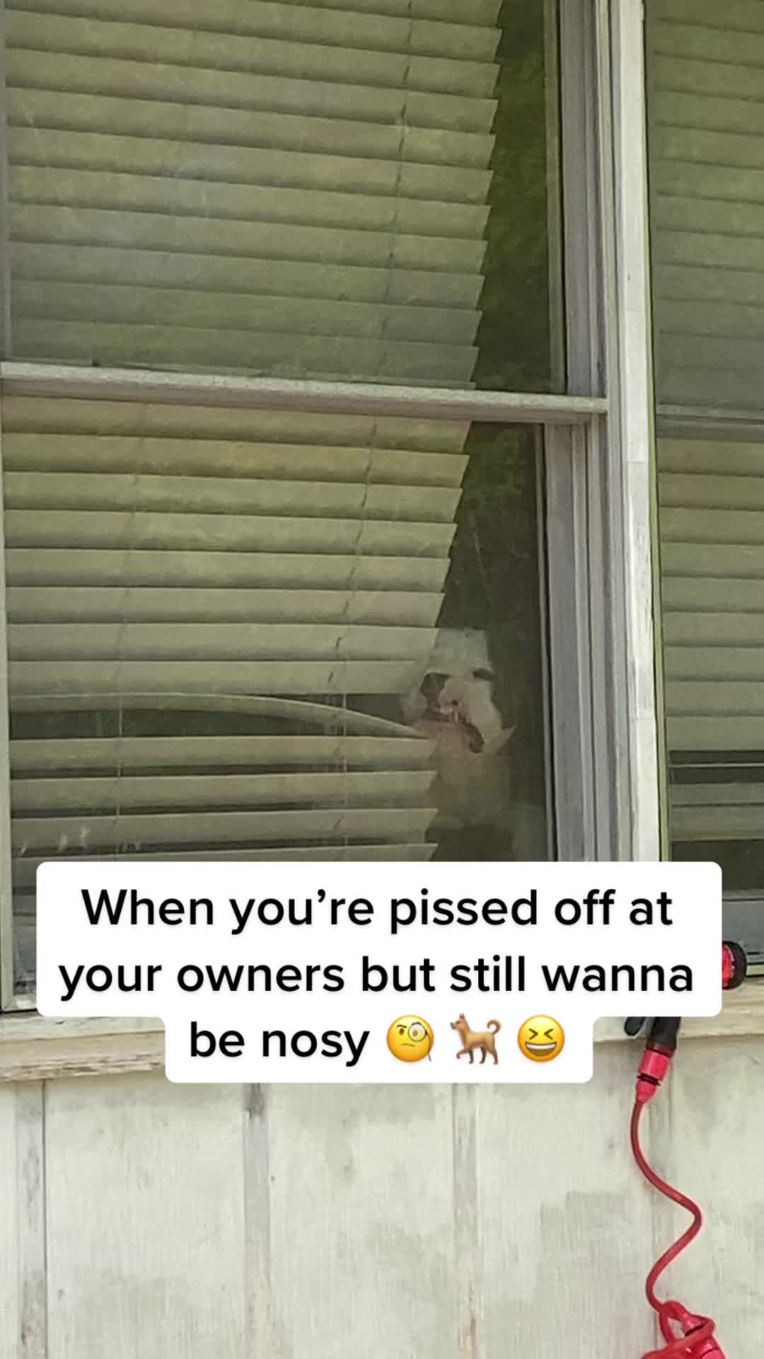 @T38