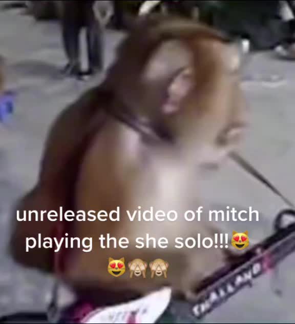 @mitchrowlandswife
