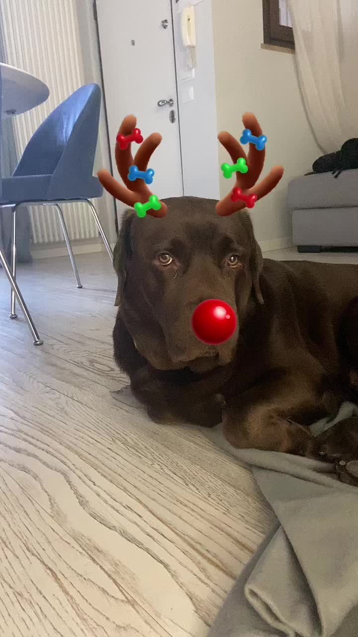 @Costanza Muratori