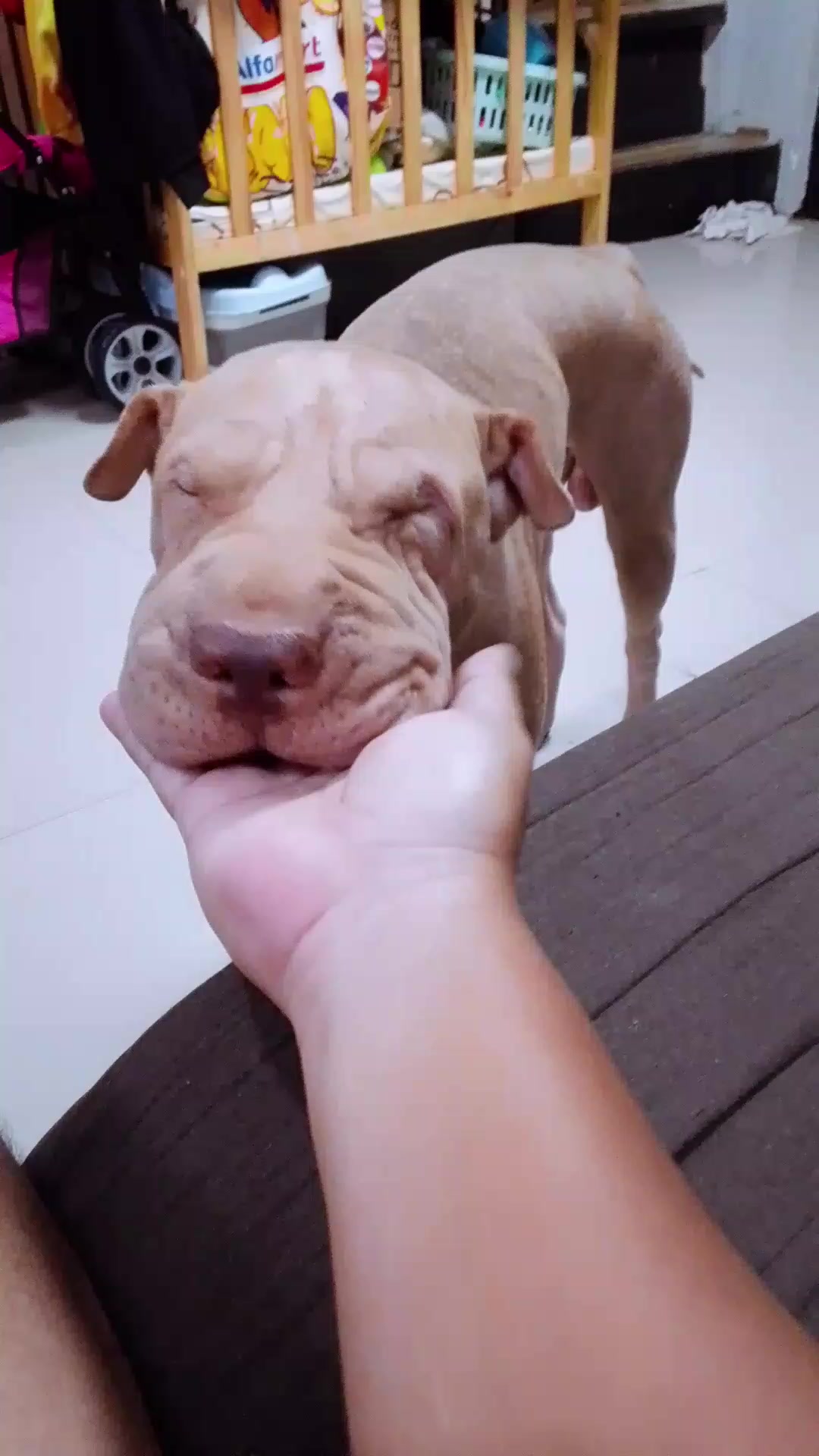@Champ The Pei