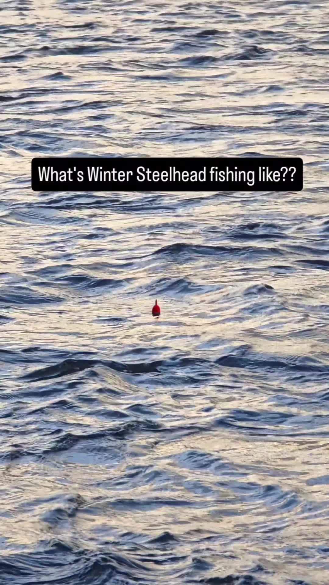 @the360angler
