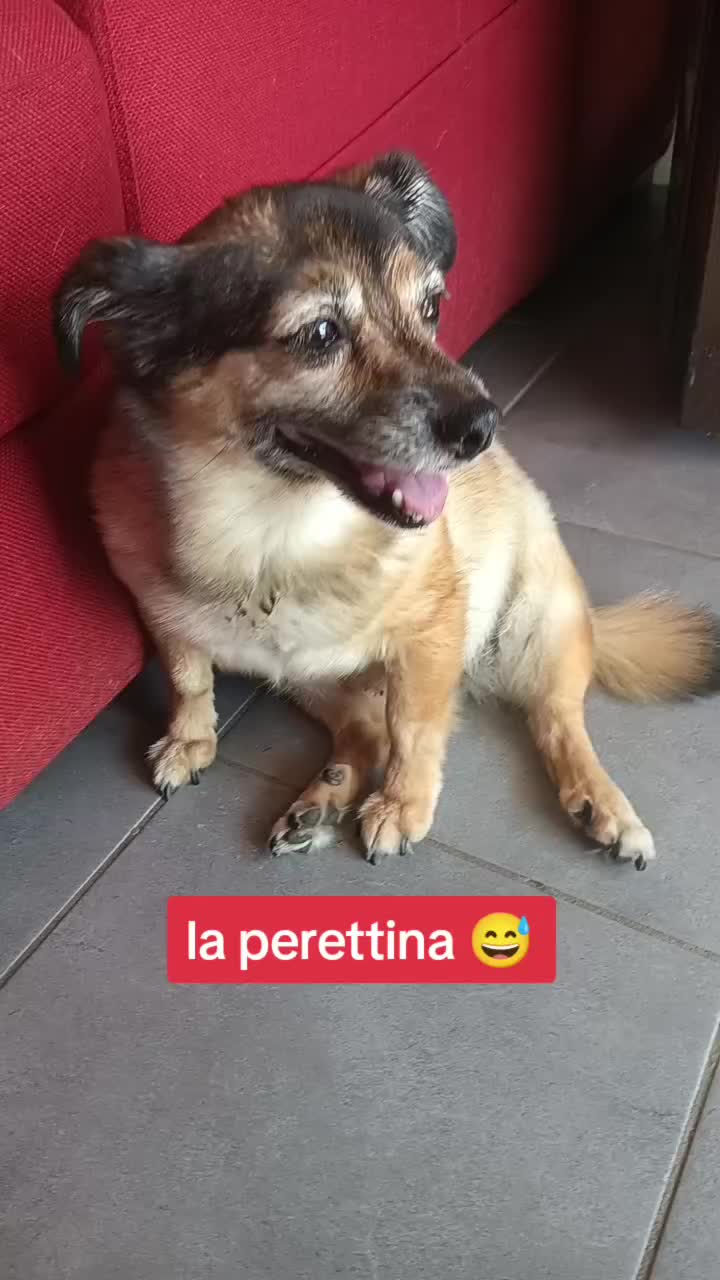 @briciola221dina24