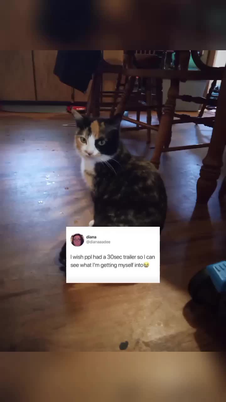 @Jay.Cat.2013
