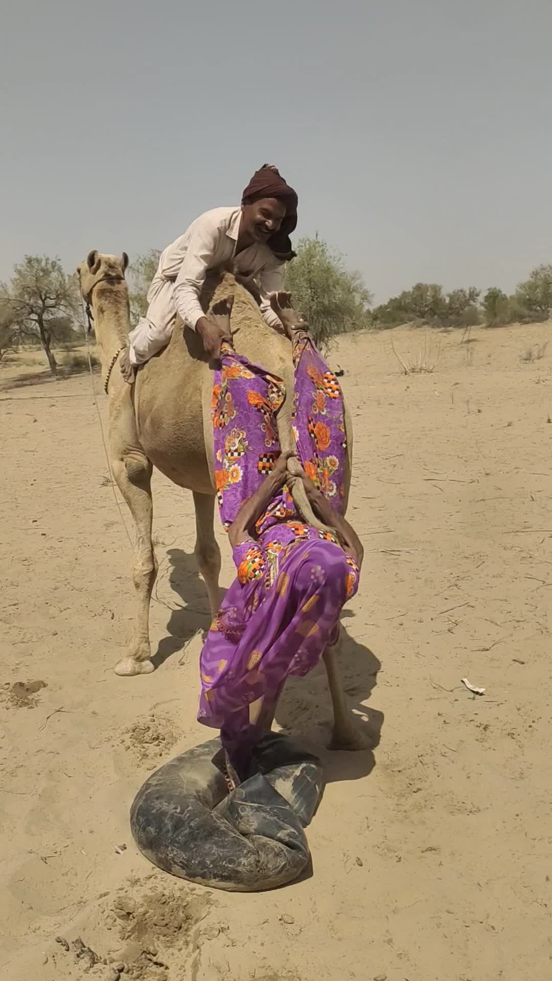 @Camel Lovers