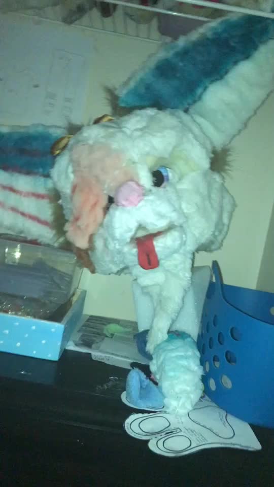 @Furry_Hype_House