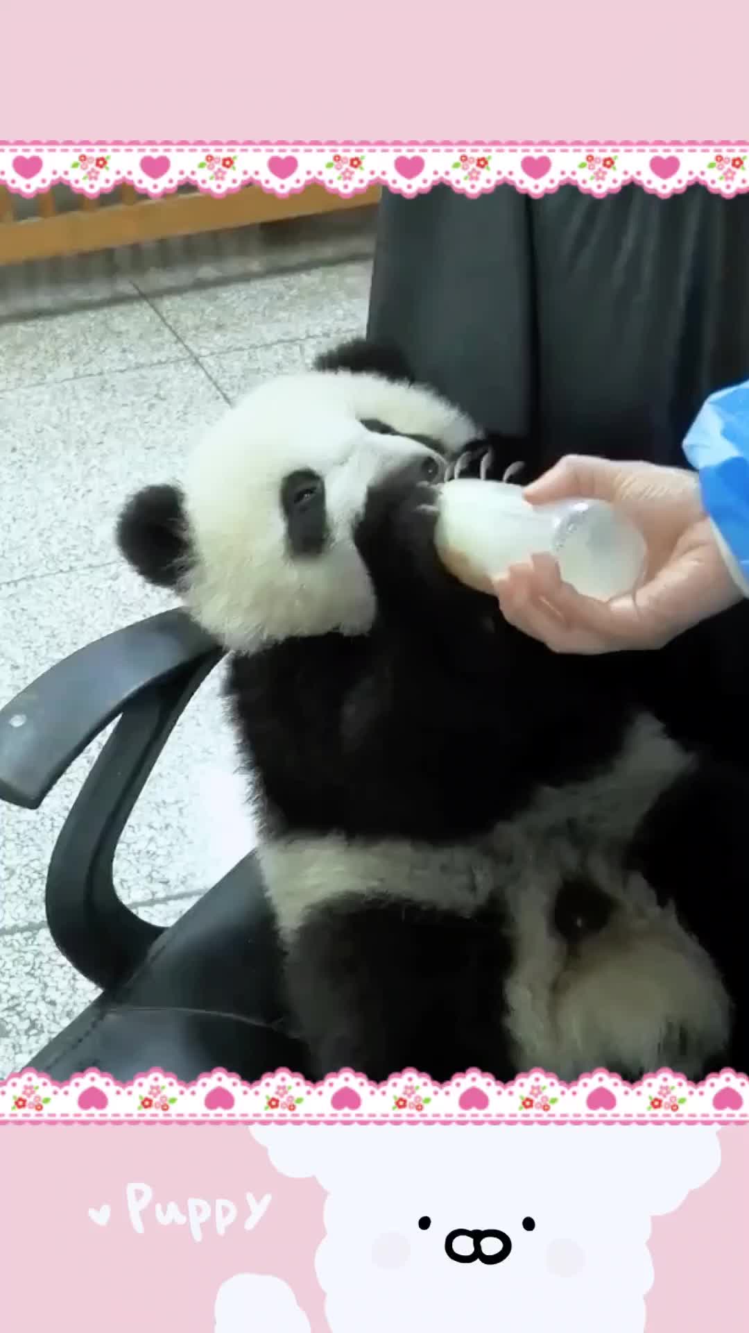 @cute little guy