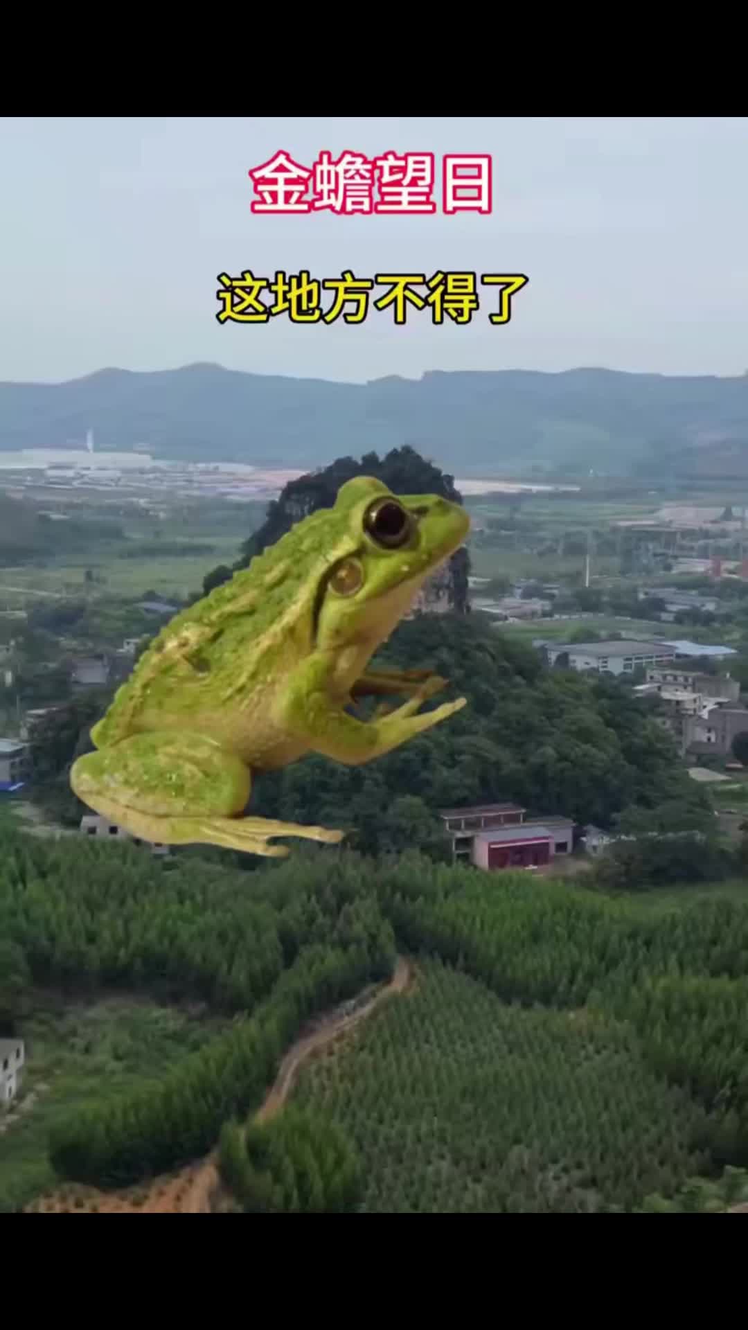 @水沭青龍