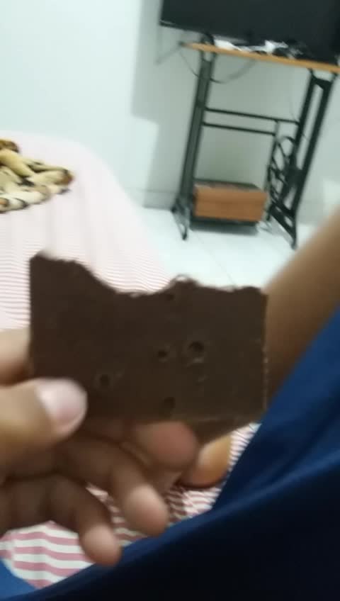 @brunooamarall