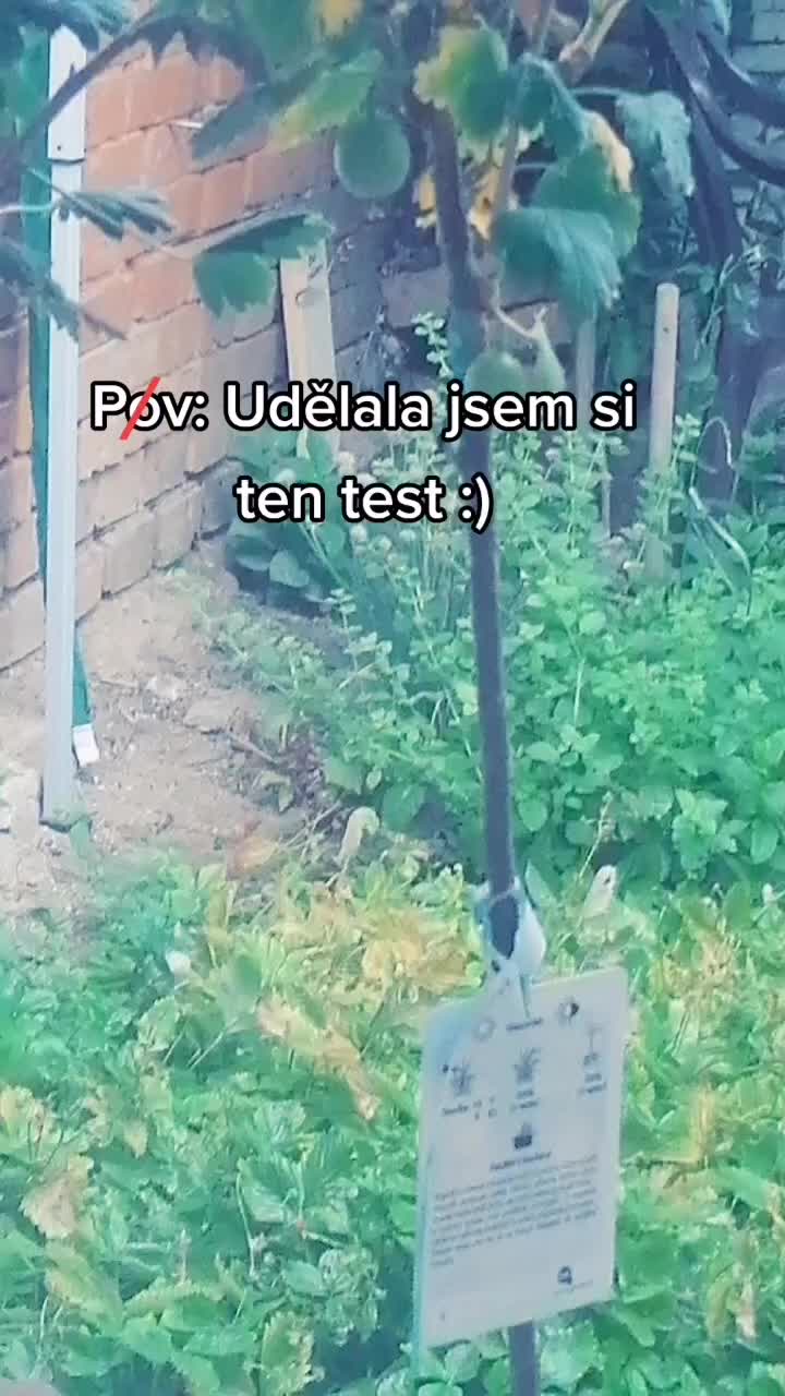 @Miru❤️