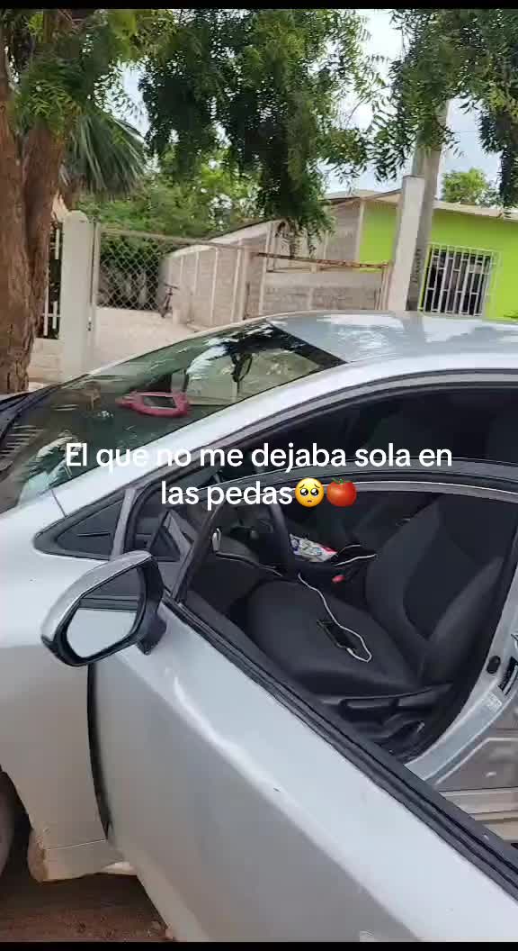 @Fernanda Chávez Ayon