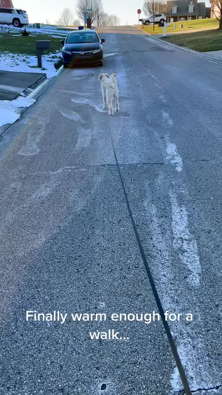 @How does this thing work?