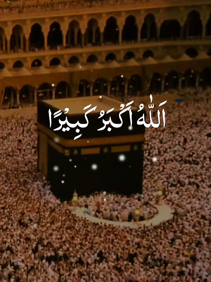 @Hamza Mini World