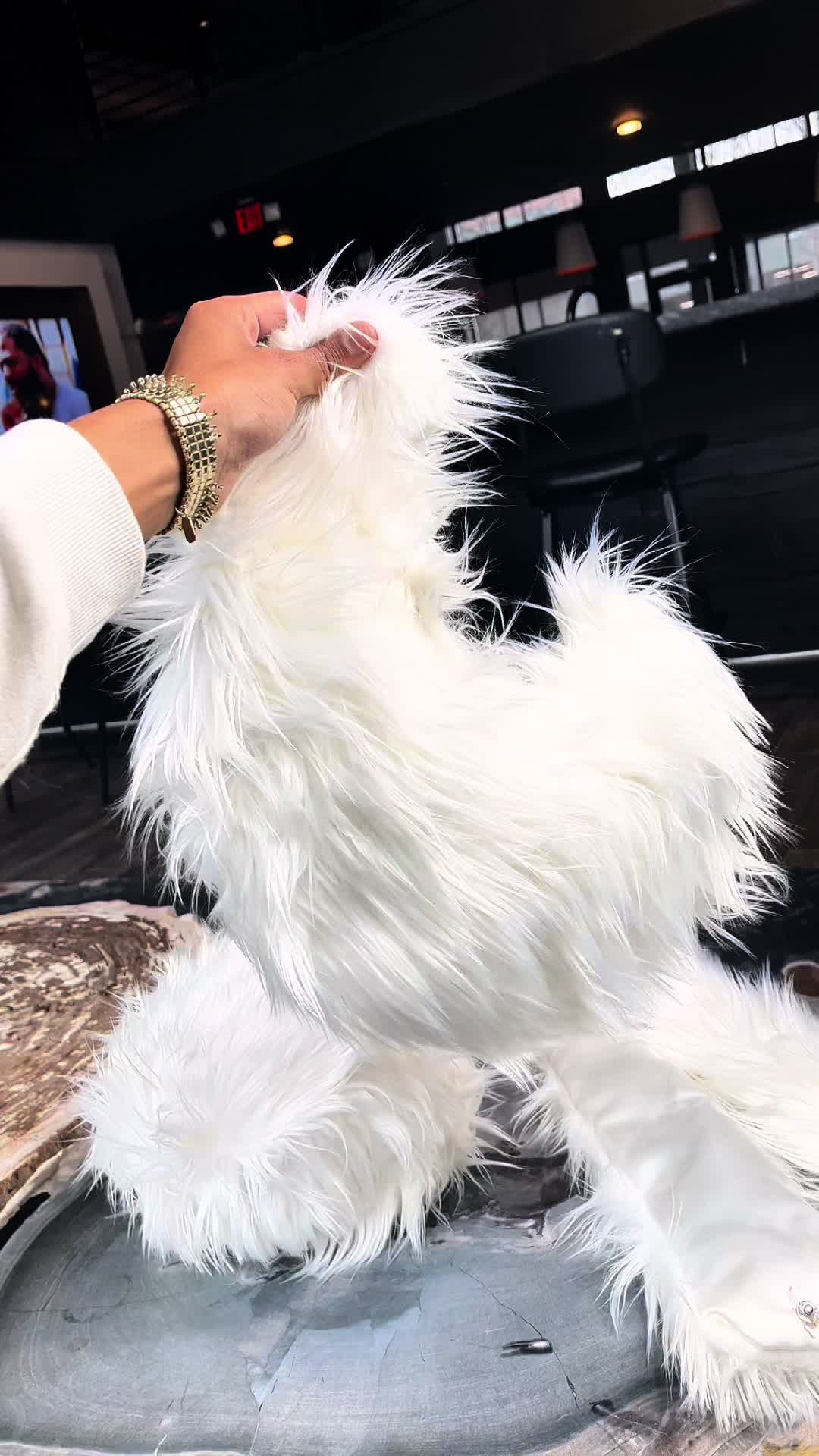@MeonteTheGoat
