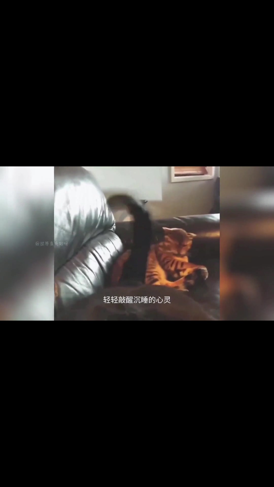 @dfhdhhd22