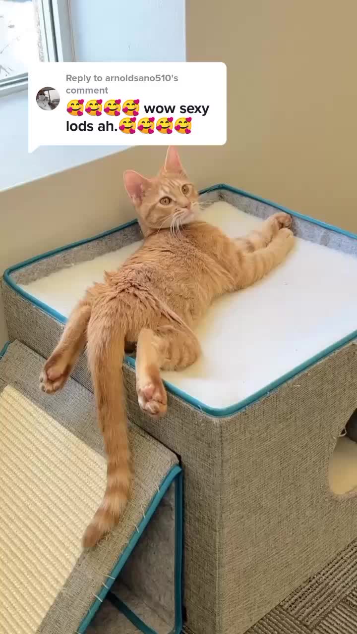 @heyriiiiiya🐱