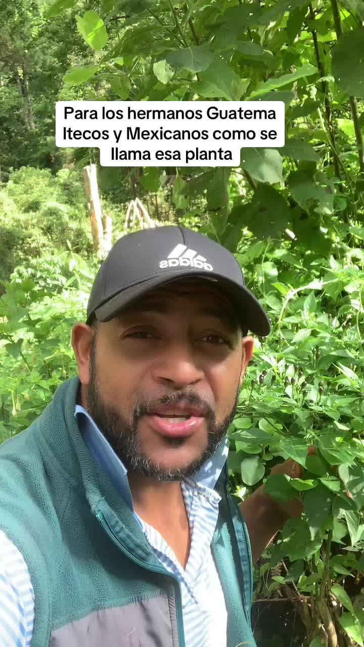 @Danny Scorpion