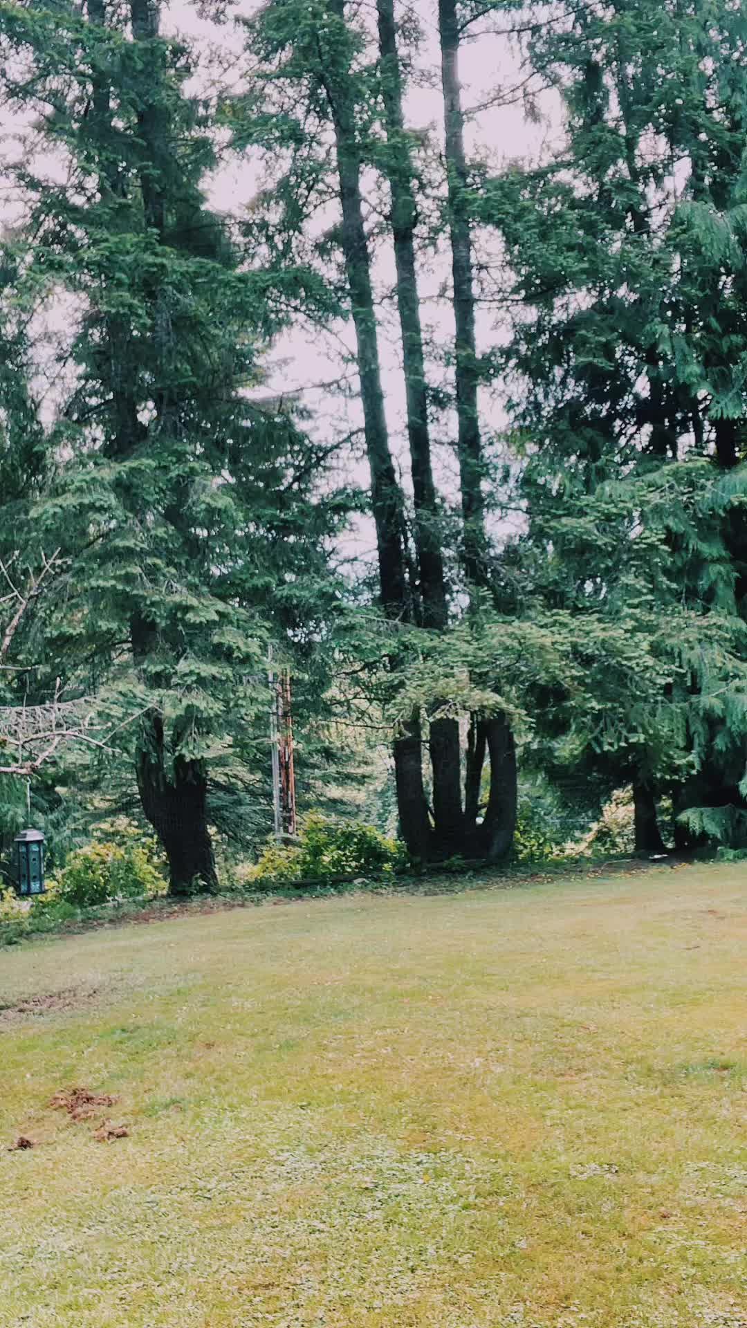 @GrayInu
