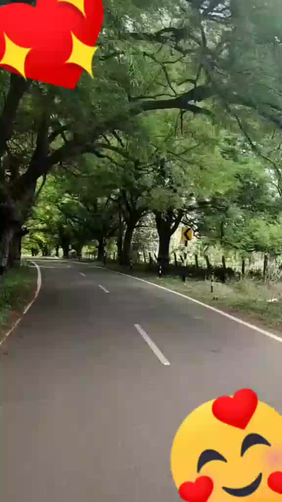 @Rashmi